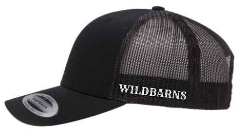 Casquette WB rouge-blanc | Noir