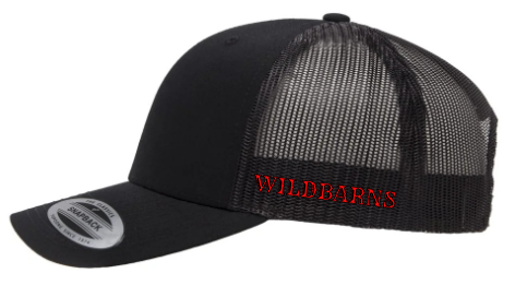 Casquette - Longhorn rouge | Noir