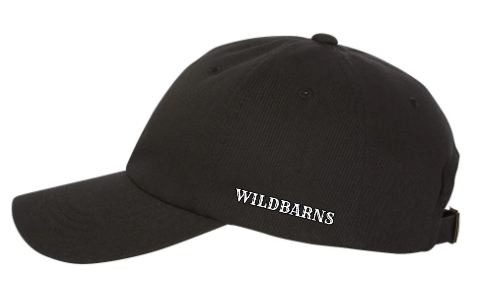 Casquette pleine WB original | Noir