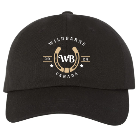Casquette pleine WB original | Noir