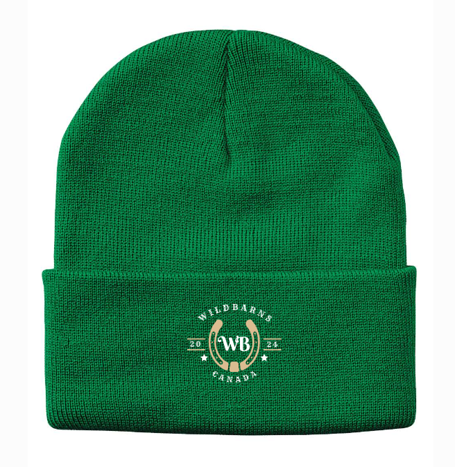 Tuque Adultes - WB original | Vert clair