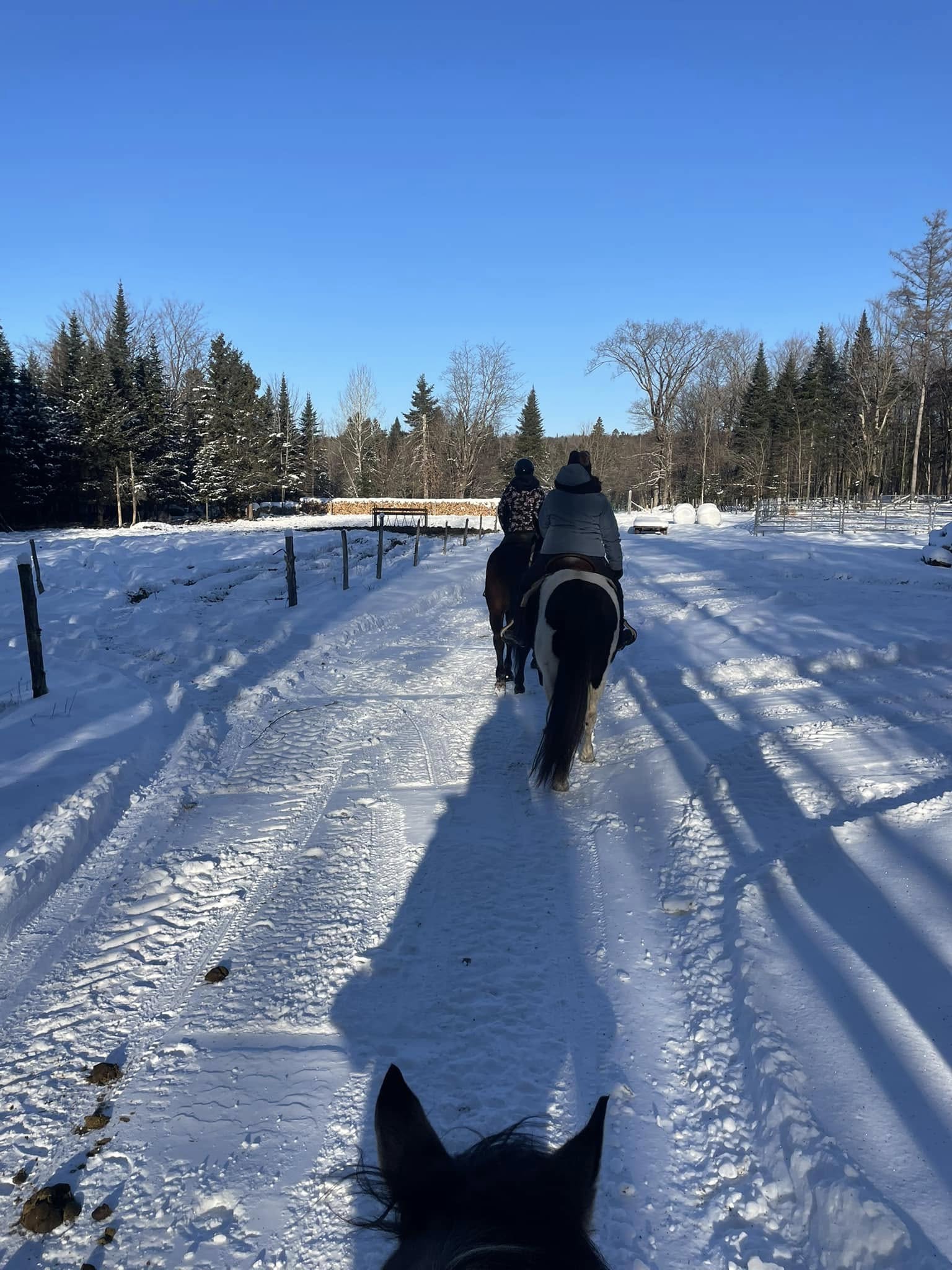 Quelle est la Capitale des Cowboys au Québec et pourquoi?
