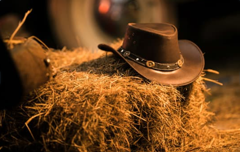Le chapeau de cowboy : bien plus qu’un couvre-chef