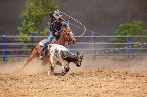 Rodéo: le sport extrême des cowboys - Article dans le Nouvelliste