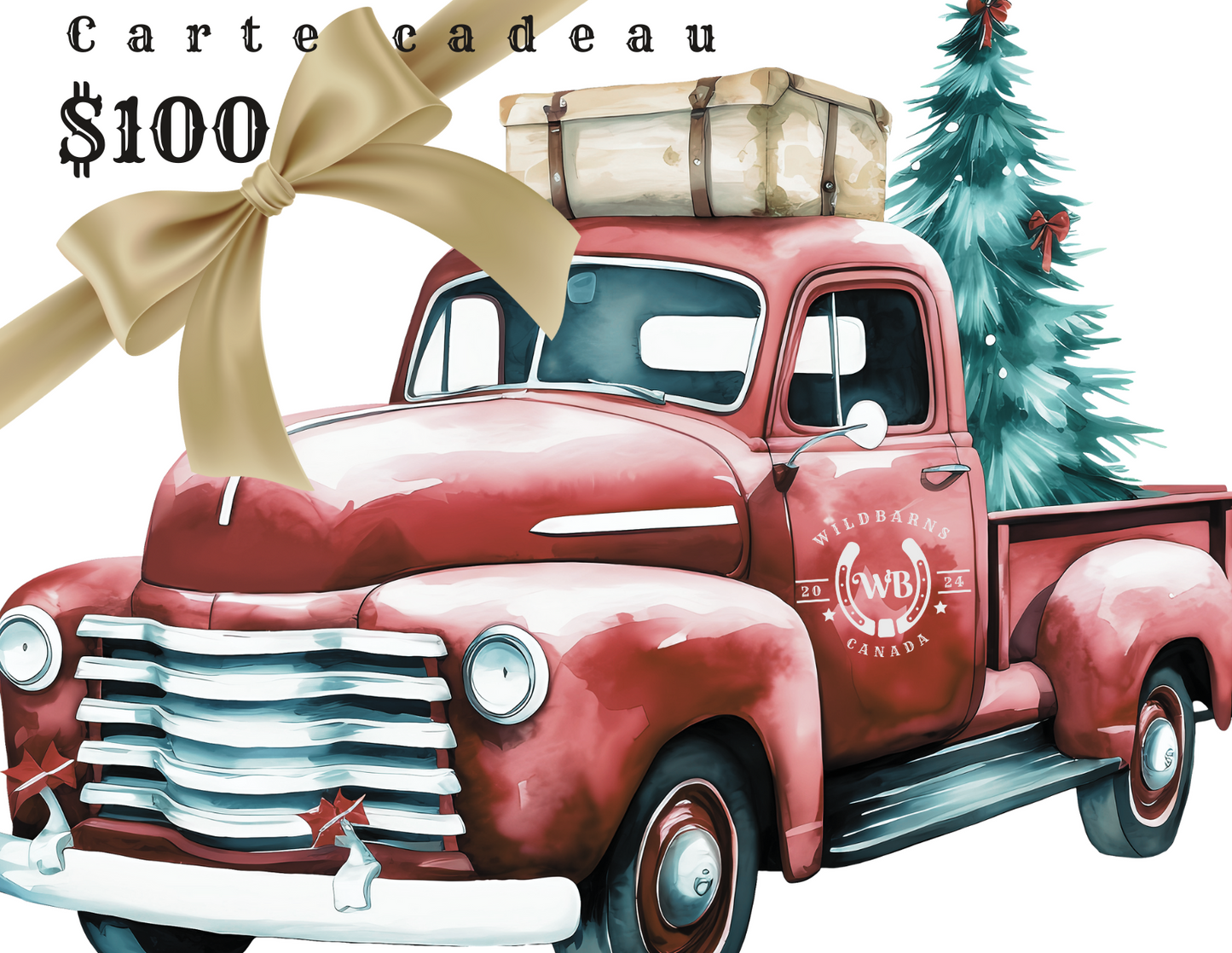 Carte cadeaux 100$