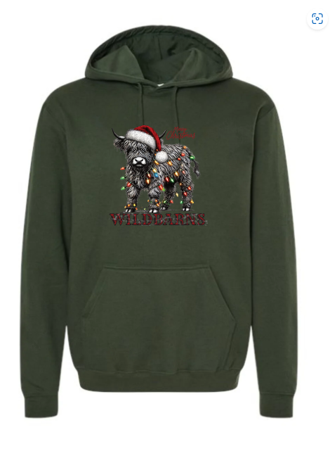 Hoodie Adultes Noël 3