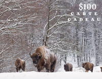 Carte cadeaux 100$