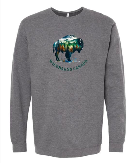 Buffalo Forest Adults Pullover