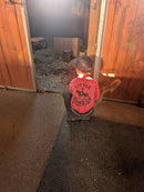 Children's T-Shirt | Little Cowboy