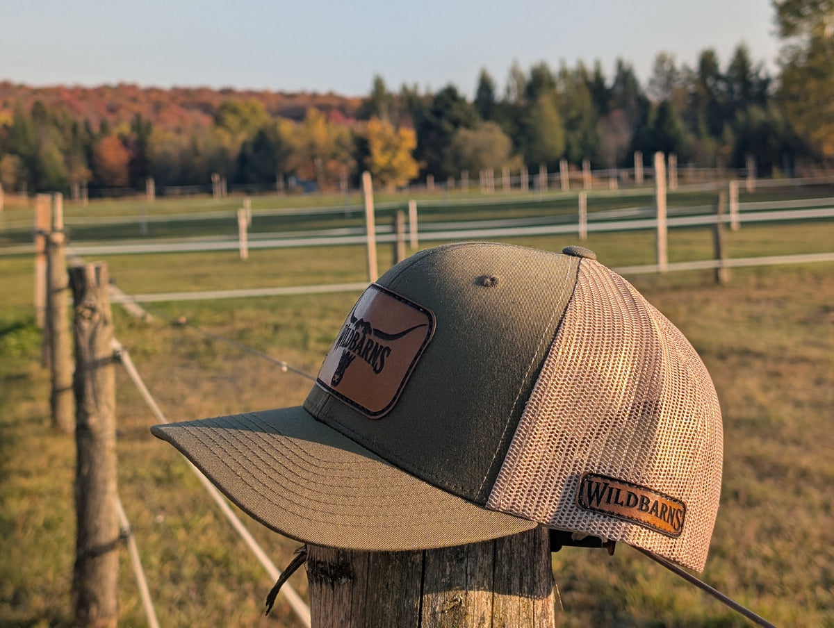 Cap | Longhorn Patch