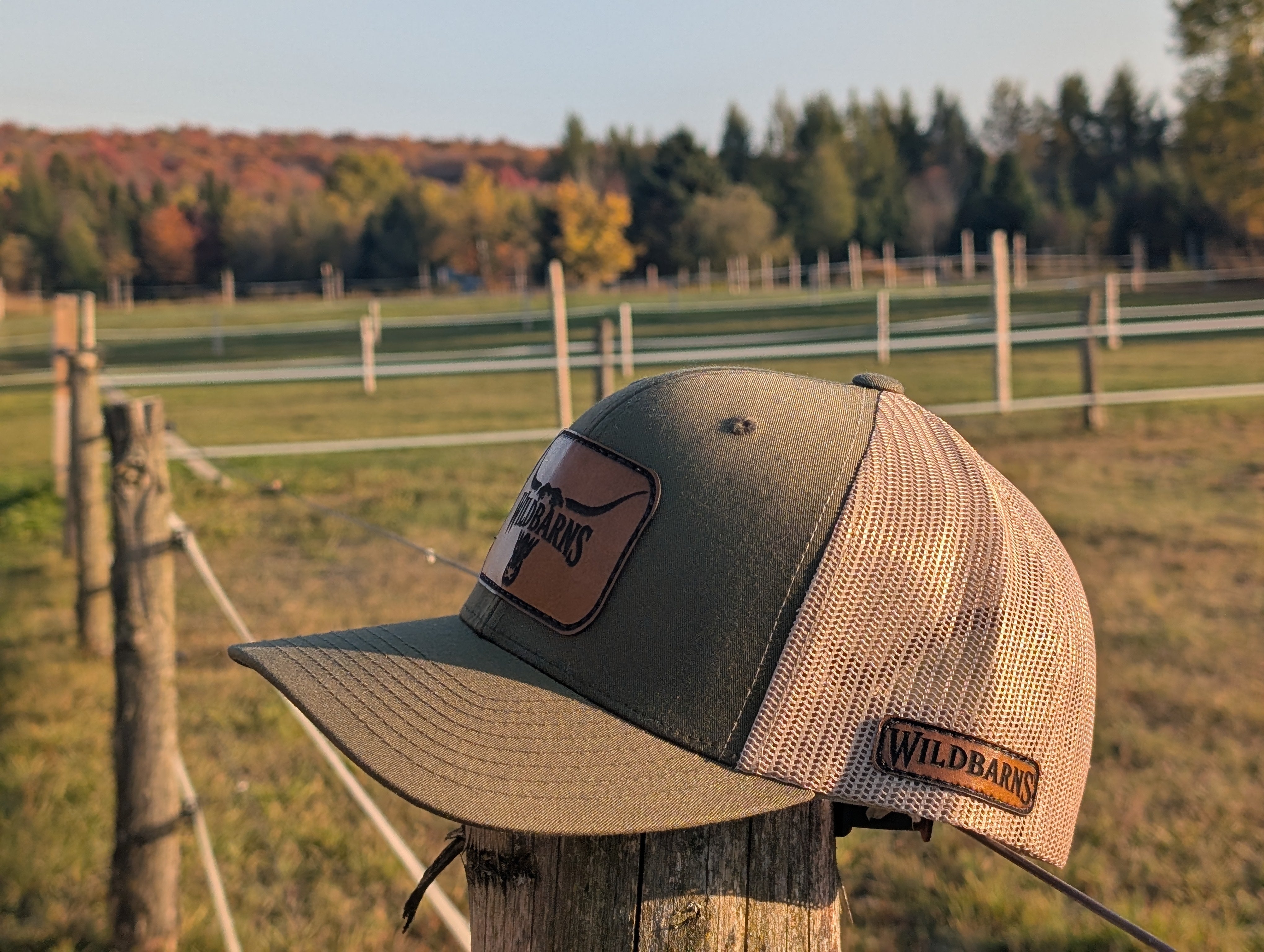 Casquette - Patch cuir | Longhorn