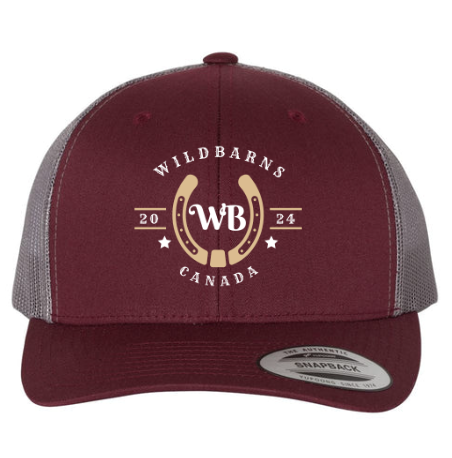 Casquette WB original | Bordeaux-gris