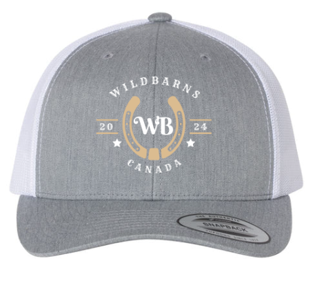 Casquette WB original | Gris-blanc