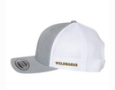Casquette WB original | Gris-blanc