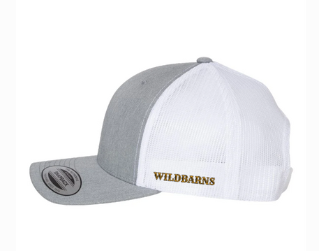 Casquette WB original | Gris-blanc