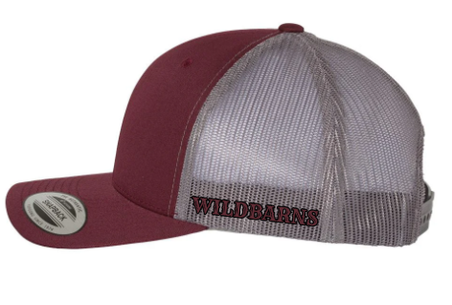 Casquette WB original | Bordeaux-gris