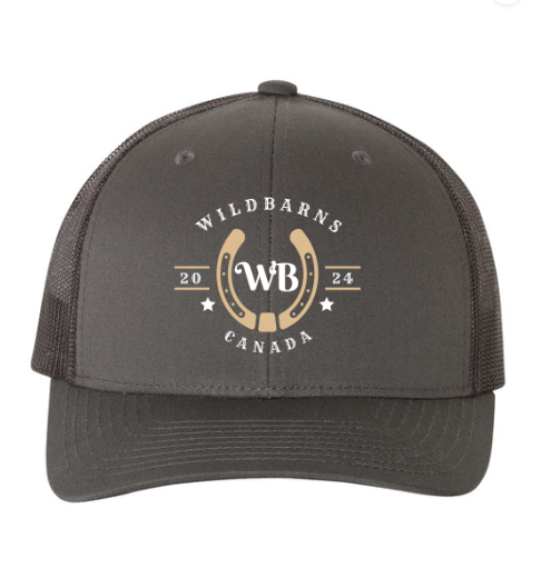 Casquette WB original | Charbon