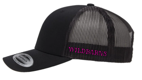Adjustable Cap - Pink Longhorn | Black