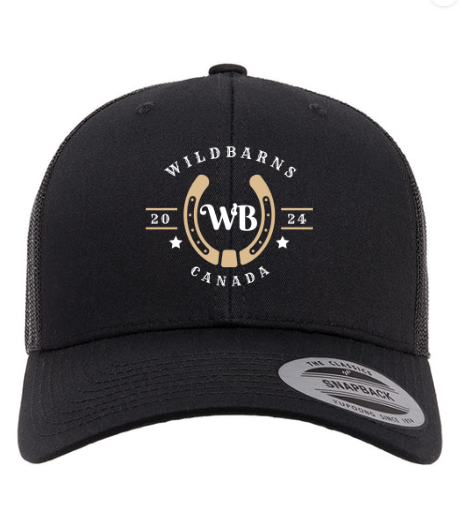 Casquette WB original | Noir