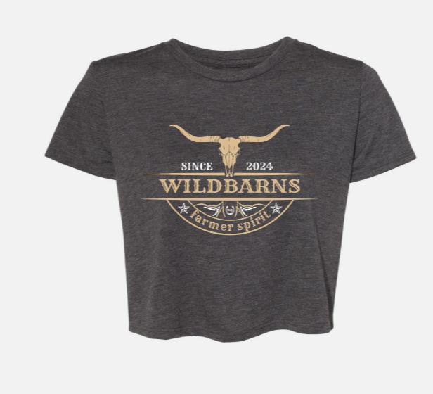 Crop Top - Longhorn | Gris