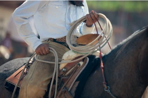 rodeo2.png