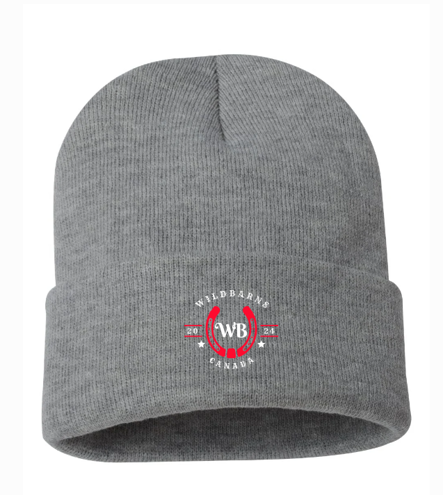 Tuque WB rouge-blanc