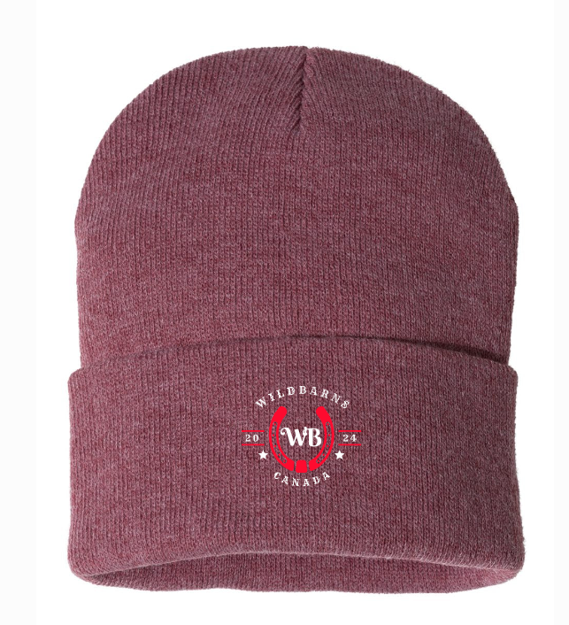 Tuque WB rouge-blanc